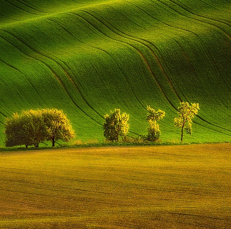 粉象生活app下载安装