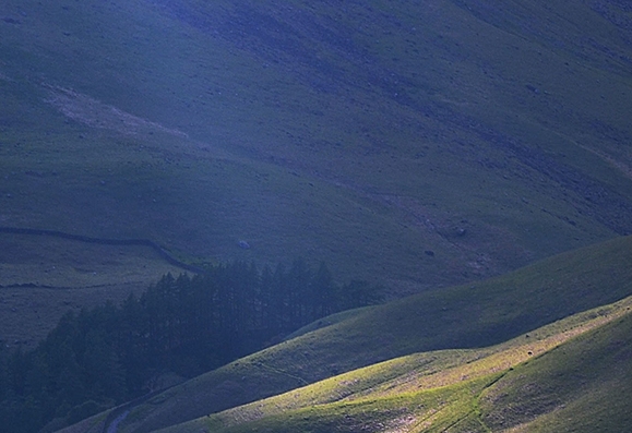 粉象生活的店铺怎么卖
