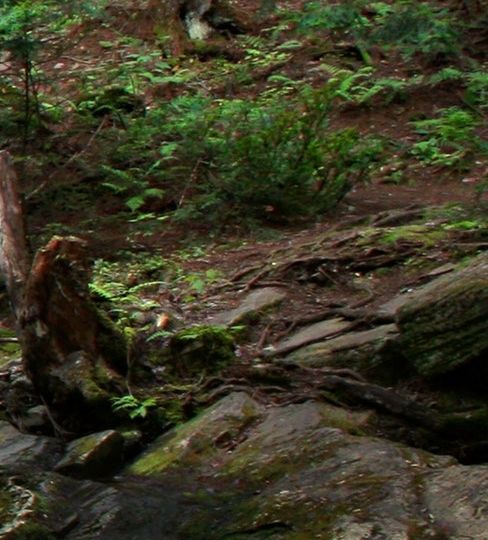 粉象生活怎么开通收益