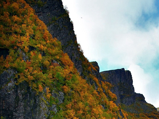 粉象生活开店卖水果可以吗