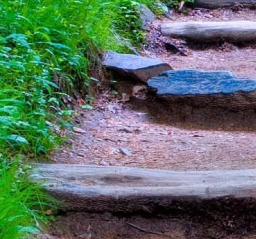 粉象生活可以赚钱吗