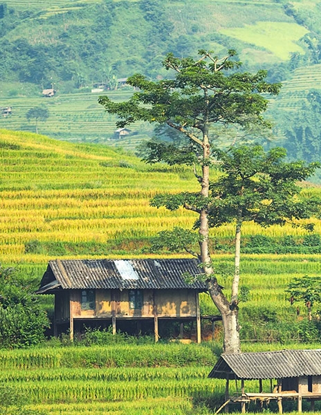 粉象生活怎么赚钱的