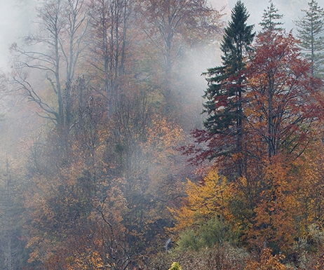 粉象生活赚钱教程