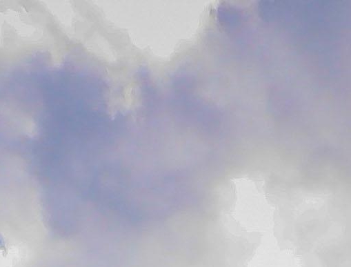 粉象生活是干嘛的