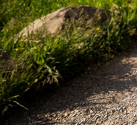 粉象生活怎么赚钱