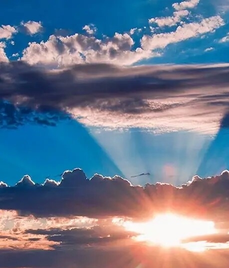 粉象生活APP能赚钱吗