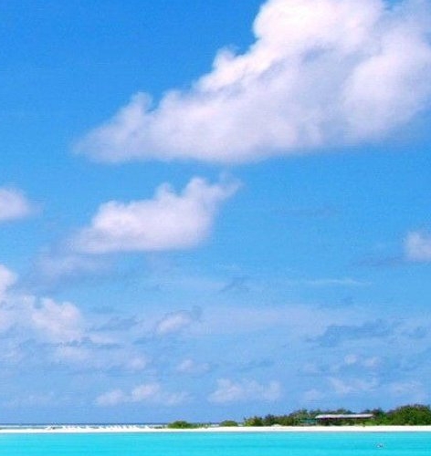 粉象生活签到页面