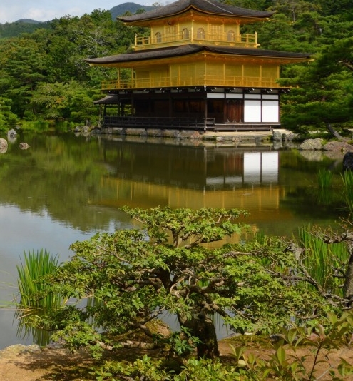 粉象生活自己怎么开通