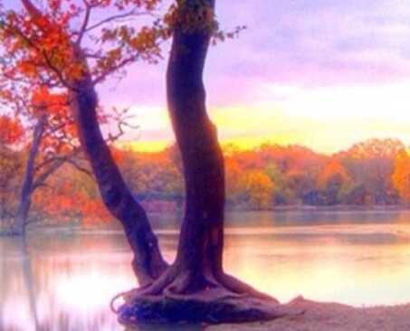 粉象生活返利推荐