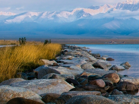 江苏口碑粉象生活网站
