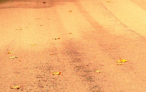 浙江创新粉象生活好不好