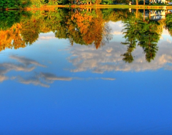 粉象生活怎么申请入驻