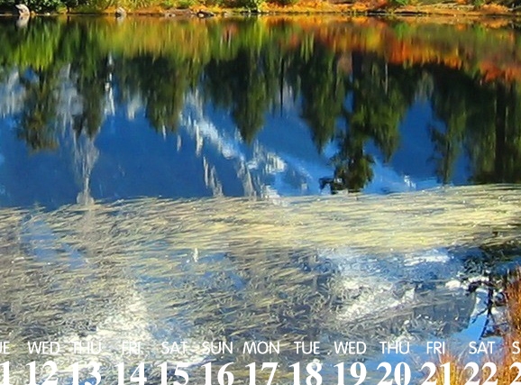 粉象生活下载app