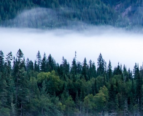 生活中烦人的行为有哪些