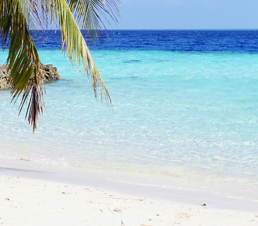 粉象生活宣传短片