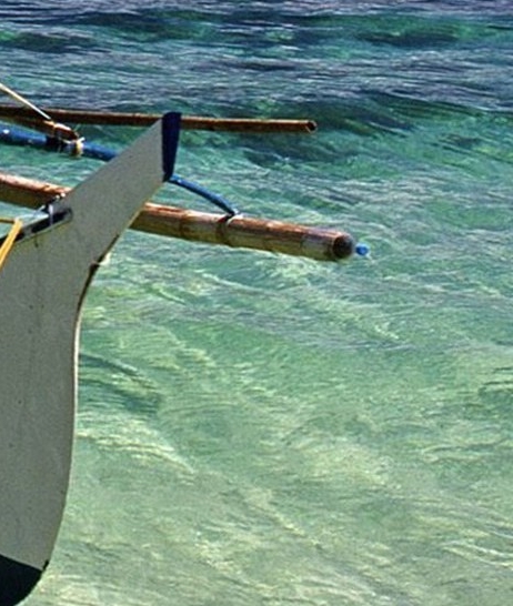 粉象生活骗局大揭秘