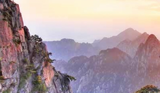 本地惠生活怎么入住