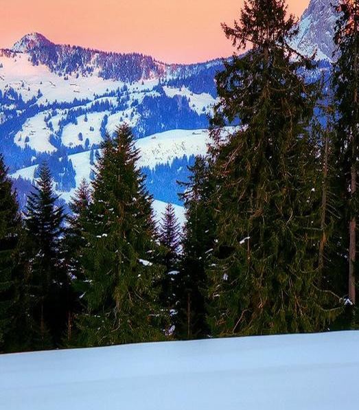 粉象生活 怎么推广