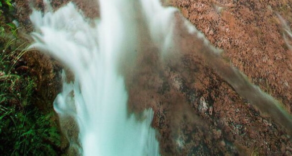 粉象生活下载app