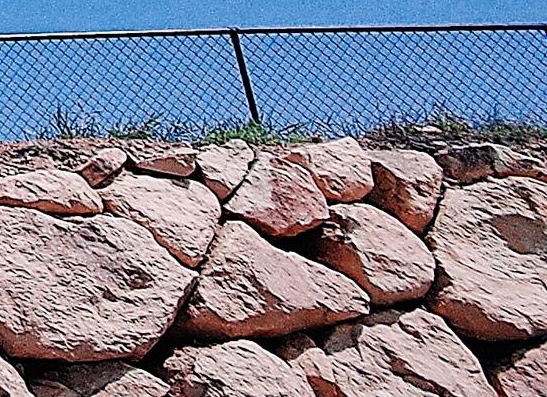 粉象生活分现金页面