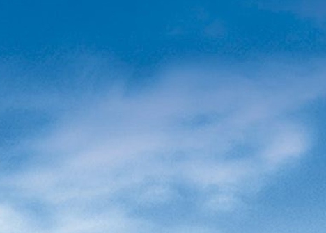 粉象生活是不是真的