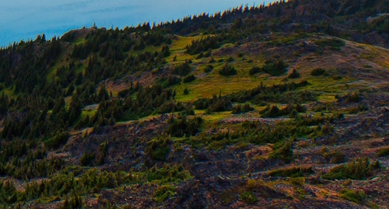 泰州粉象生活推广