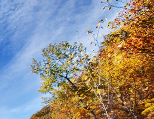 粉象生活怎么注册新号