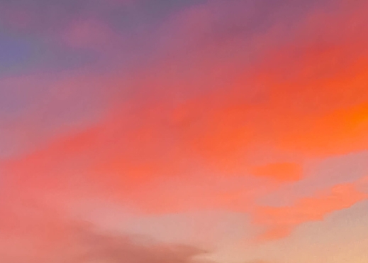 粉象生活推广引流