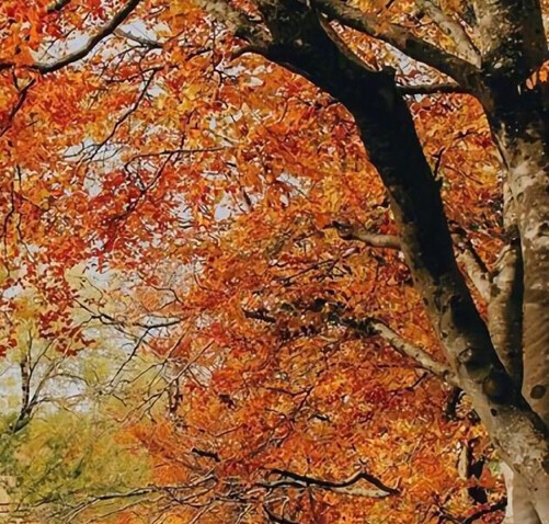 辽宁一站式粉象生活靠谱么