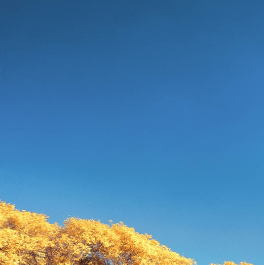 粉象生活共同进步的图片