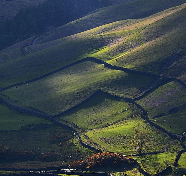 佳木斯最低生活保障