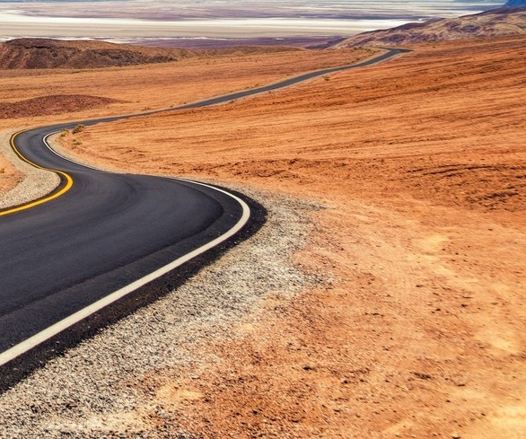 吉林葵花盘粉怎么购买