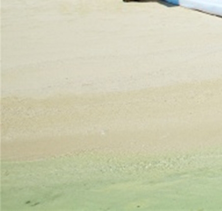 粉象生活是返利网吗