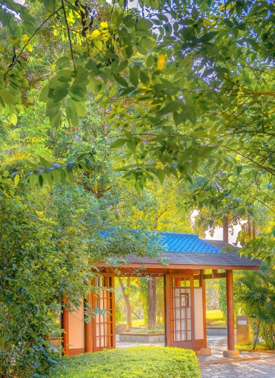 有没有比粉象跟牛的