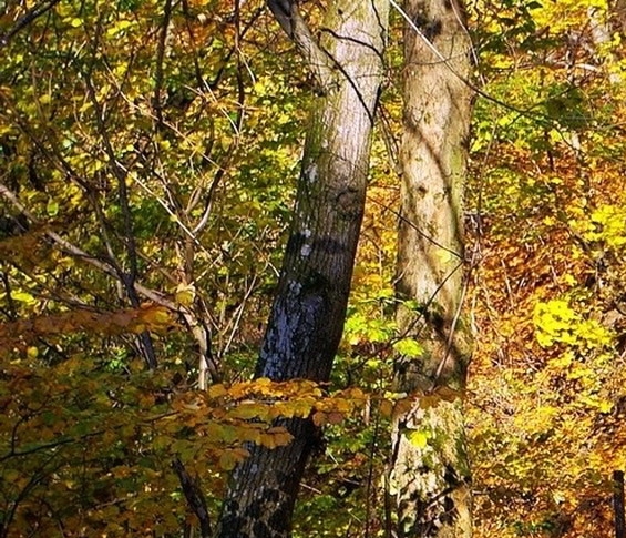 粉象是什么平台