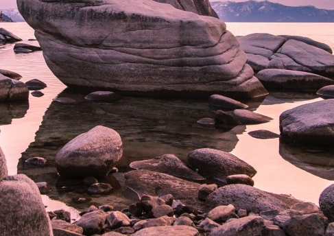 粉象生活赚钱的案例