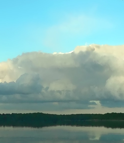 粉象生活怎么赚钱