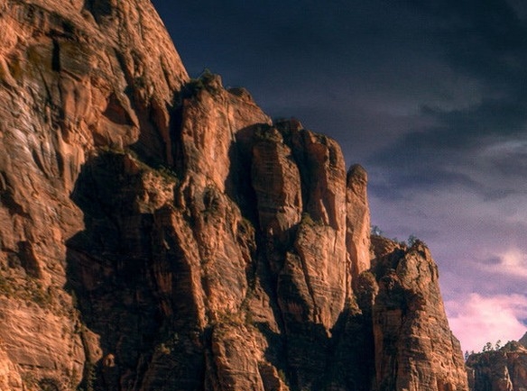 粉象生活真实收入