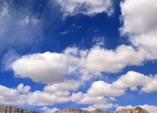 粉象生活是做什么的