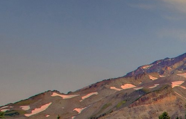 粉象生活发圈了有佣金嘛