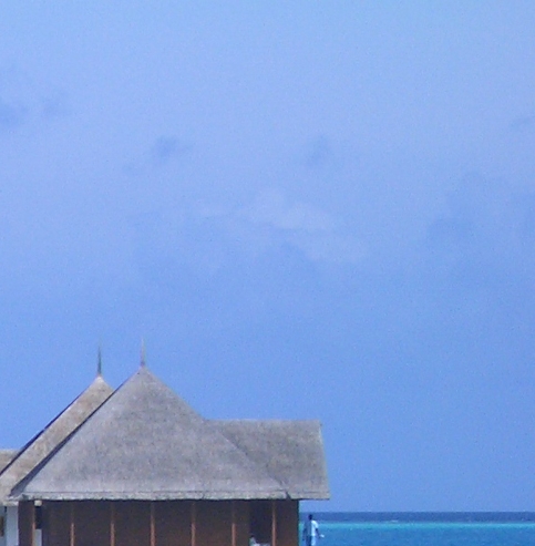 粉象生活下载app