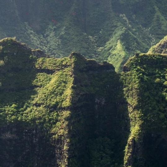 粉象生活赵恩惠