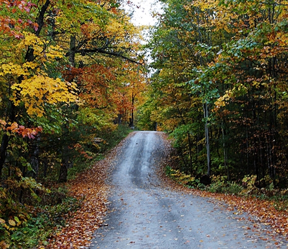 粉象生活商学院导师邀请码