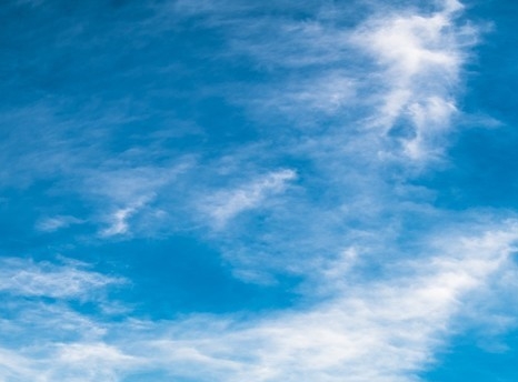 福建高端粉象生活官网