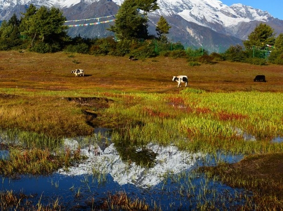 粉象生活怎么赚钱