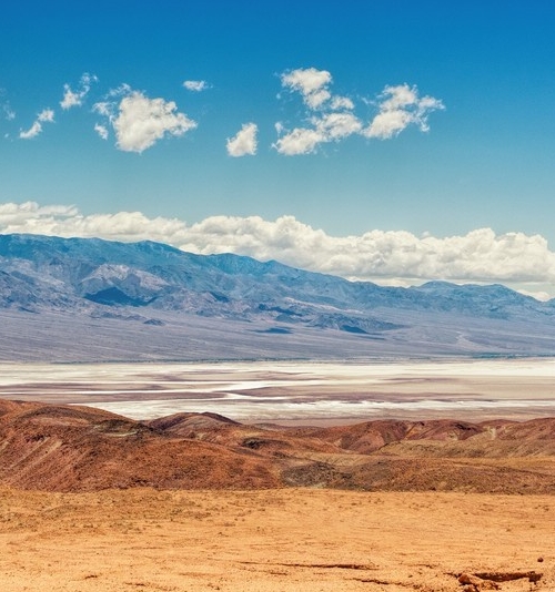 江西高端粉象生活app