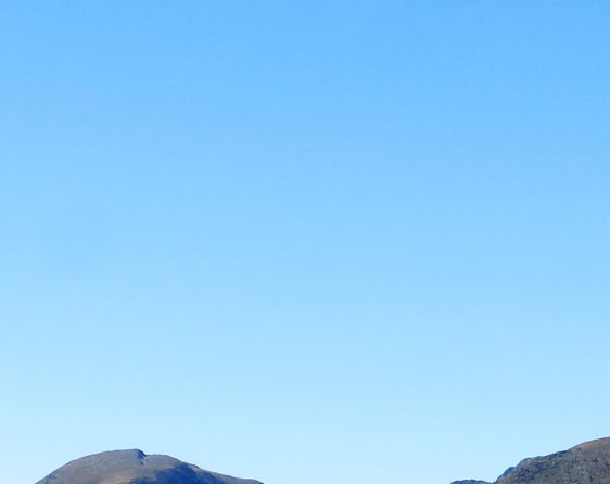 老年人生活技巧大全