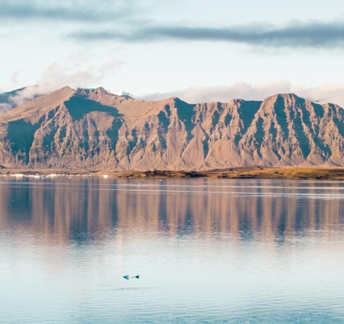 粉象生活退款多久到账