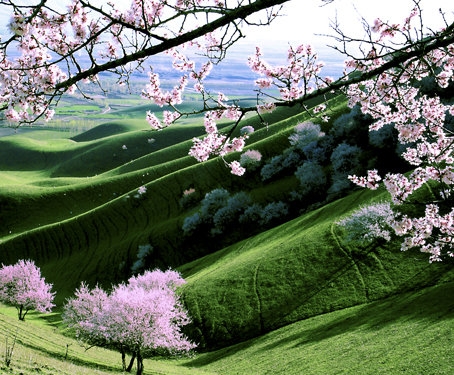 粉象生活怎么赚钱