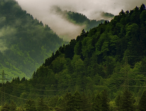 广东粉象生活如何使用